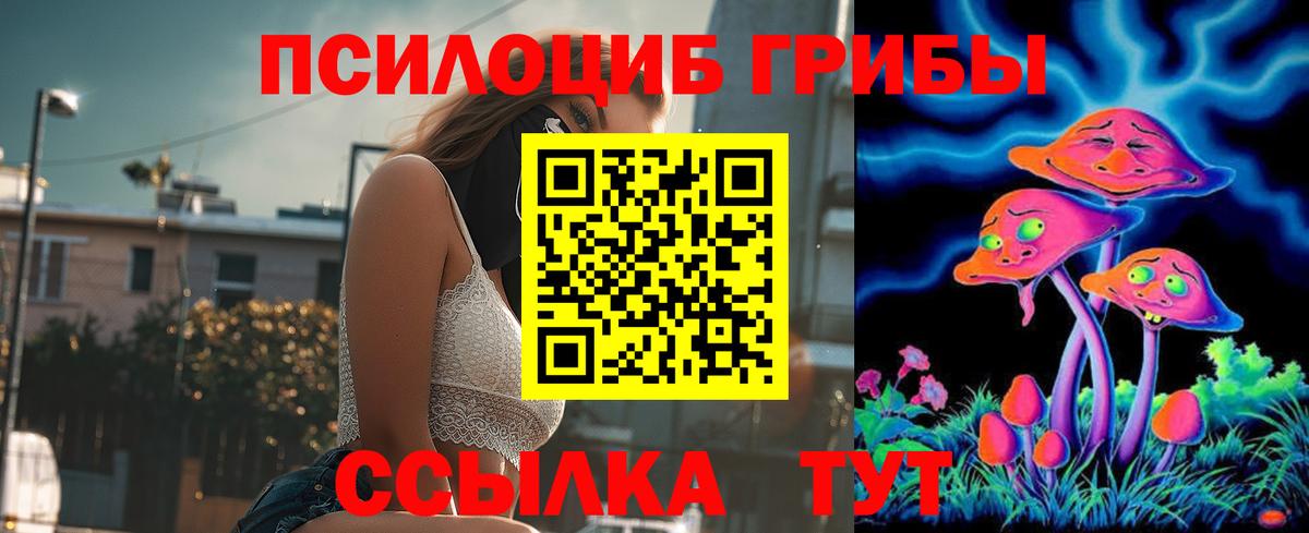 Клинцы  Галлюциногенные грибы GOLDEN TEACHER  как найти   Вход с VPN  Псилоцибиновые грибы Cubensis 