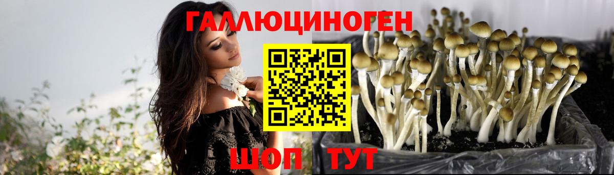 Галлюциногенные грибы мухоморы Клинцы